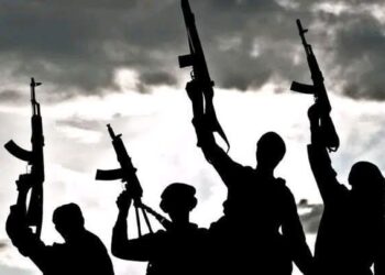 Vigilante Commander Killed as Bandits Attack Kakafu Village in Patigi LGA