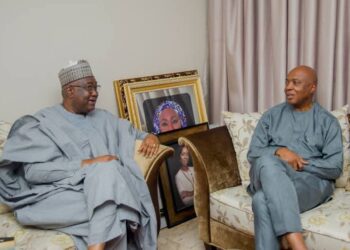 Olawepo-Hashim Meets Saraki, Pledges Collaboration to Rebuild PDP