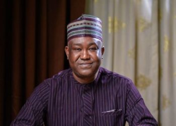 North’s elites must take responsibility for security failures, says Olawepo-Hashim